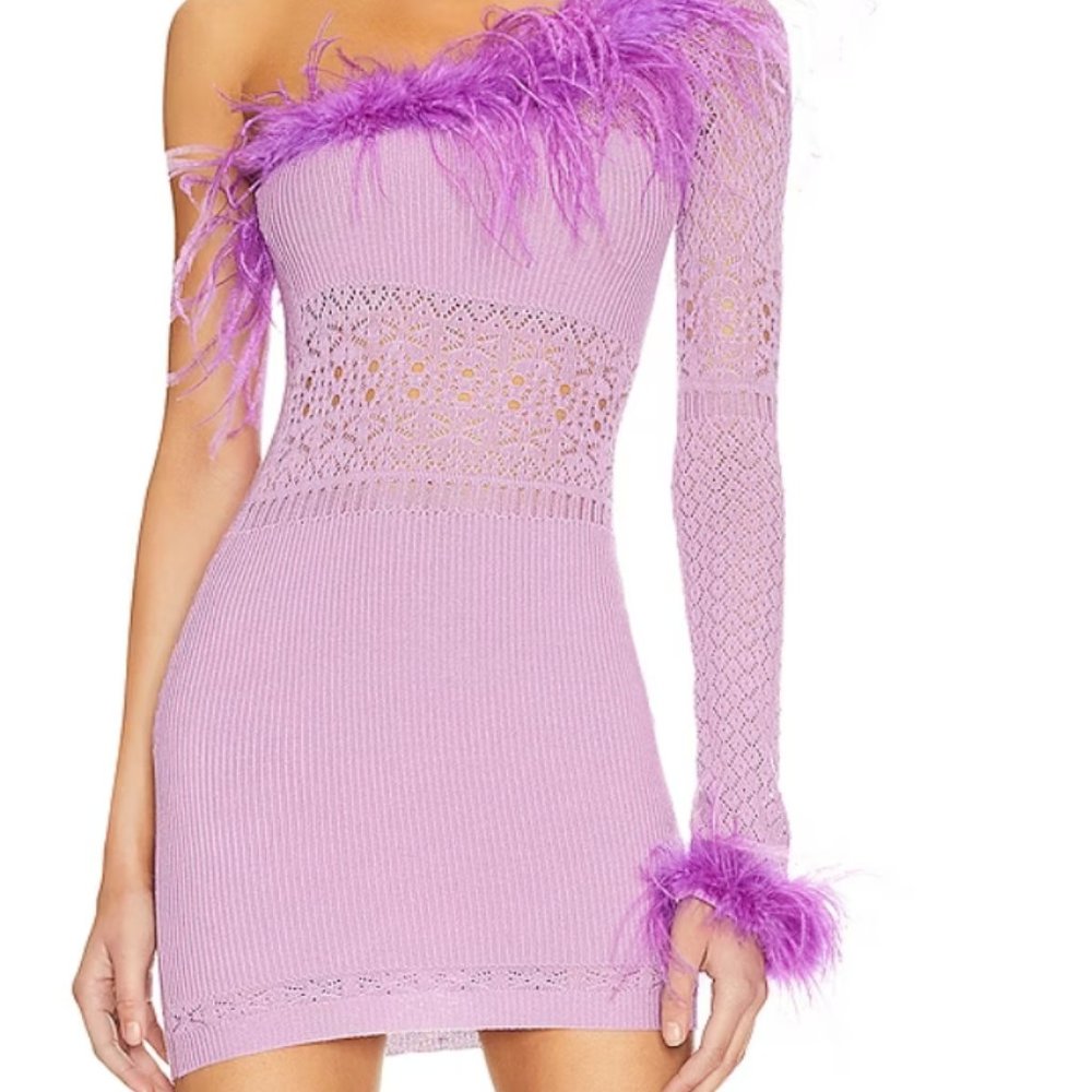 Juana Feather Trim Mini Dress NBD brand
